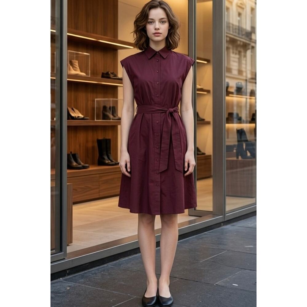 Burgundy Shirt Dress 38 Modern Uniform Minimalism Quiet Luxury Adolfo Dominguez